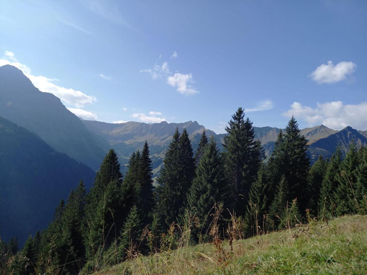 Appartement 333 Mit Schwimmbad Kleinwalsertal *