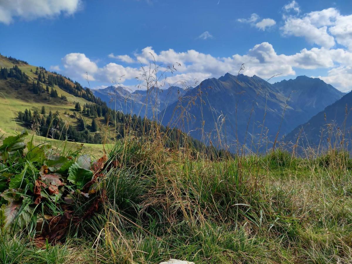 333 Mit Schwimmbad Kleinwalsertal Apartment Mittelberg