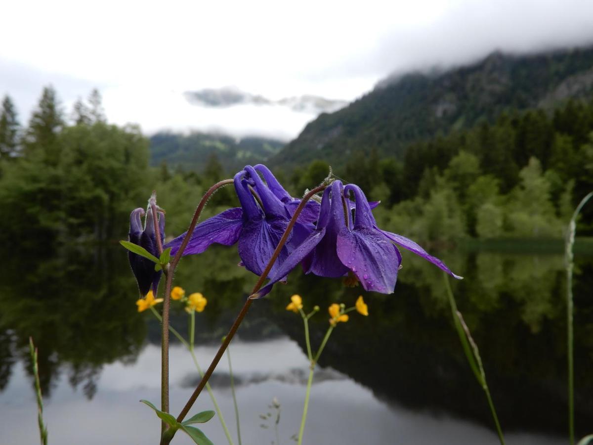 Apartment 333 Mit Schwimmbad Kleinwalsertal