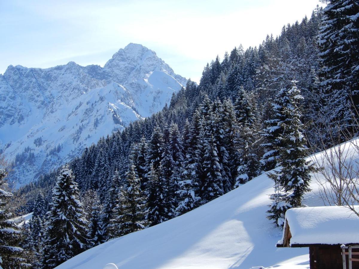 333 Mit Schwimmbad Kleinwalsertal * Mittelberg
