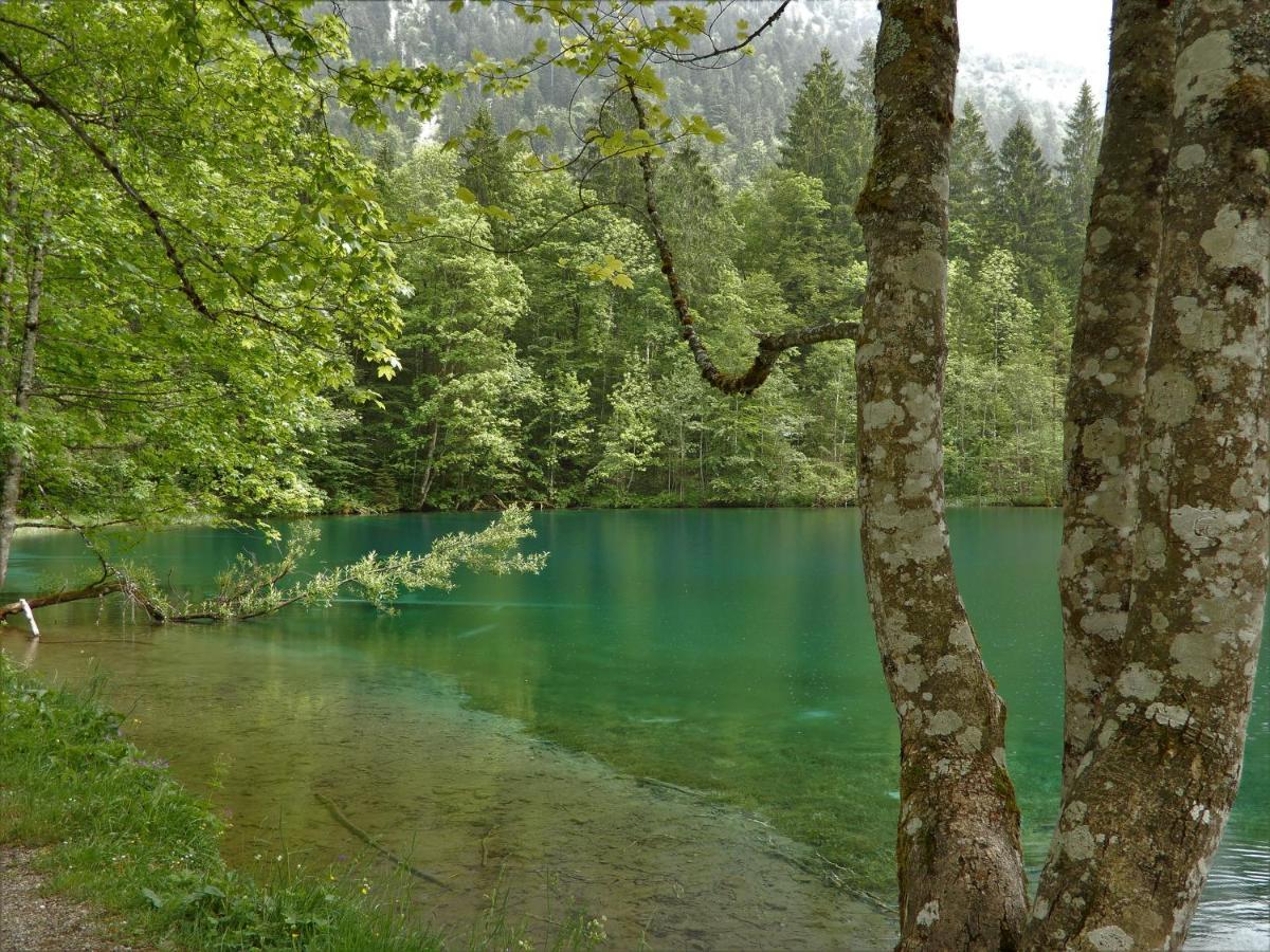 333 Mit Schwimmbad Kleinwalsertal *