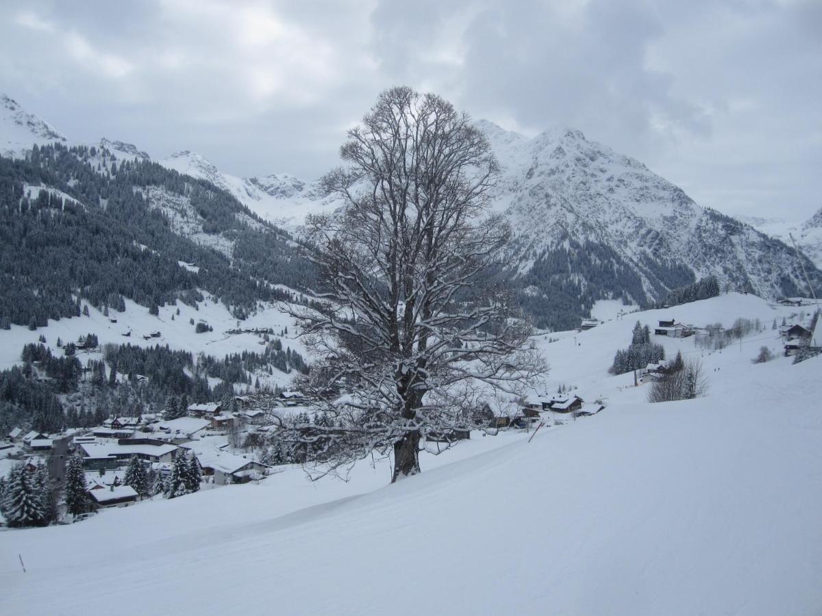 333 Mit Schwimmbad Kleinwalsertal Apartment