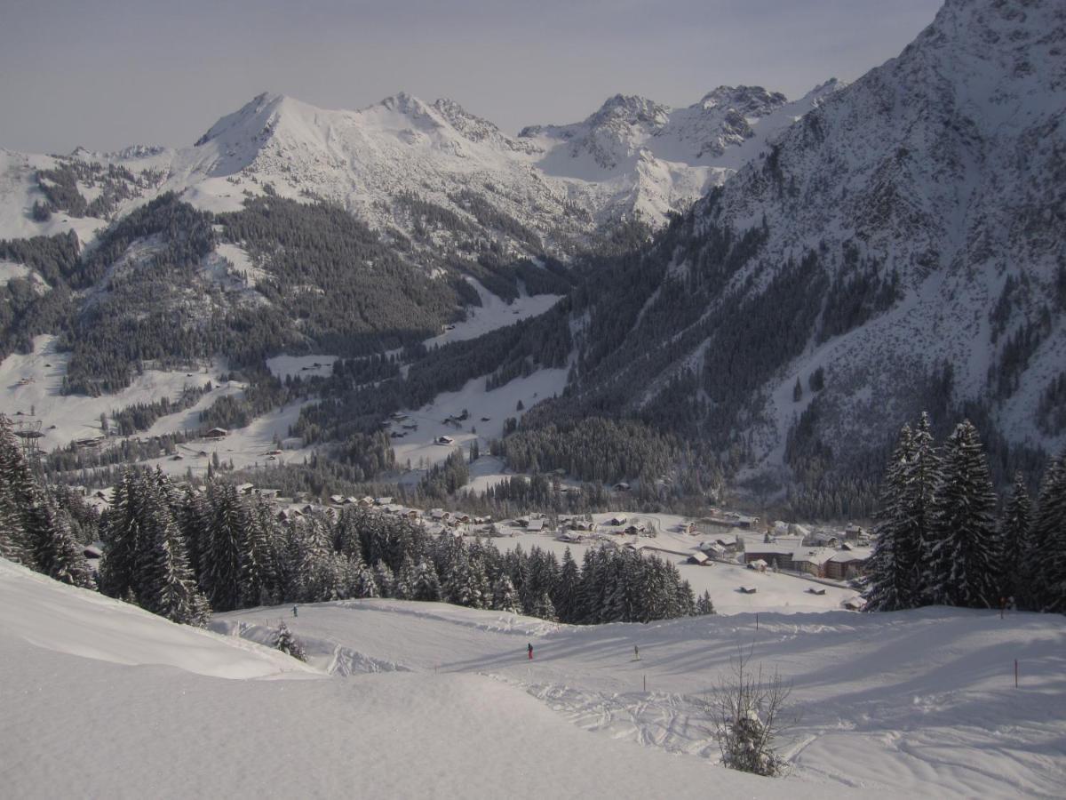 333 Mit Schwimmbad Kleinwalsertal Apartment Mittelberg