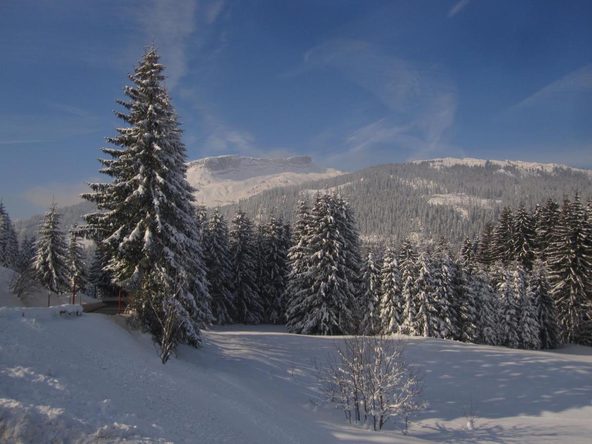 333 Mit Schwimmbad Kleinwalsertal *